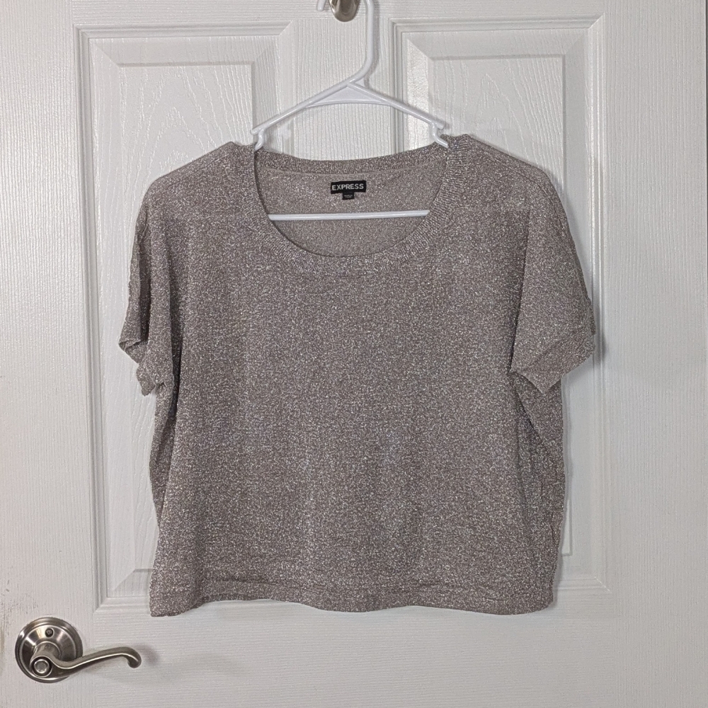 Express Metallic Silver and Gold Sparkly Sheer Mesh Crop‎ Top Size Small
